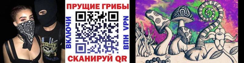 Псилоцибиновые грибы ЛСД  закладки  Кирово-Чепецк 